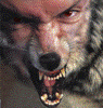 OJIadyLLIeK